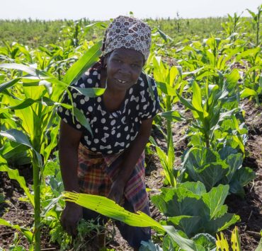 The Importance of Agriculture in Bocoio Highlighted • 360 Angola
