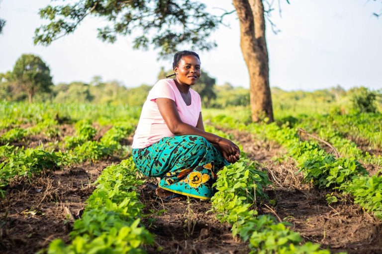 Allocation for Agriculture Still Far from the 10% Target Set by the ...