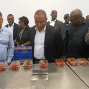 Angola's Minister of State for Economic Coordination José de Lima Massano speaking to press during a working visit to Lu