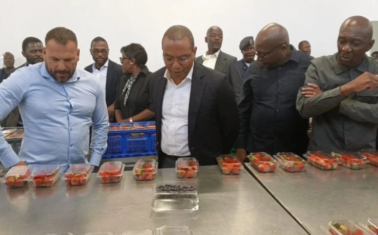 Angola's Minister of State for Economic Coordination José de Lima Massano speaking to press during a working visit to Lu