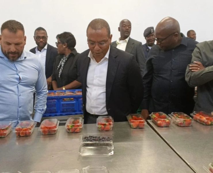 Angola's Minister of State for Economic Coordination José de Lima Massano speaking to press during a working visit to Lu
