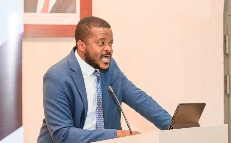 Workshop on PPP governance and institutionalisation models at the National Statistics Institute (INE), Luanda, Angola. |