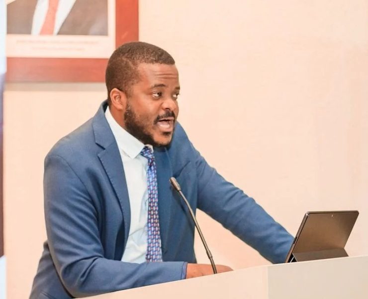 Workshop on PPP governance and institutionalisation models at the National Statistics Institute (INE), Luanda, Angola. |