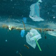 Dutch Firm’s Bubble Barrier Intercepts 86% of River Plastic Before It Reaches Oceans | Source: 360 Mozambique