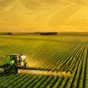 Mozambique Plans $2B Agricultural Investment Over Four Years | Source: 360 Mozambique