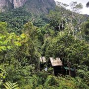 Marojejy: Madagascar’s Wild Mountain Wilderness | Source: 360 Mozambique