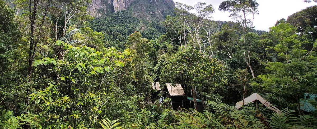 Marojejy: Madagascar’s Wild Mountain Wilderness | Source: 360 Mozambique