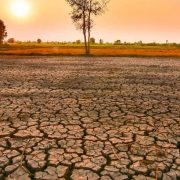 WMO Warns Current El Niño Could Be Among Strongest Since 1950 | Source: 360 Mozambique